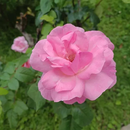 Luna 31 Holiday home Portoroz