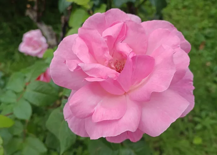 Luna 31 Holiday home Portoroz